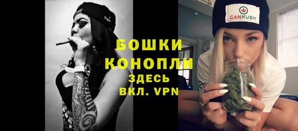 apvp Арсеньев