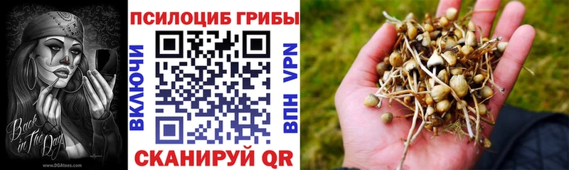 Галлюциногенные грибы Cubensis  MEGA вход  Родники 